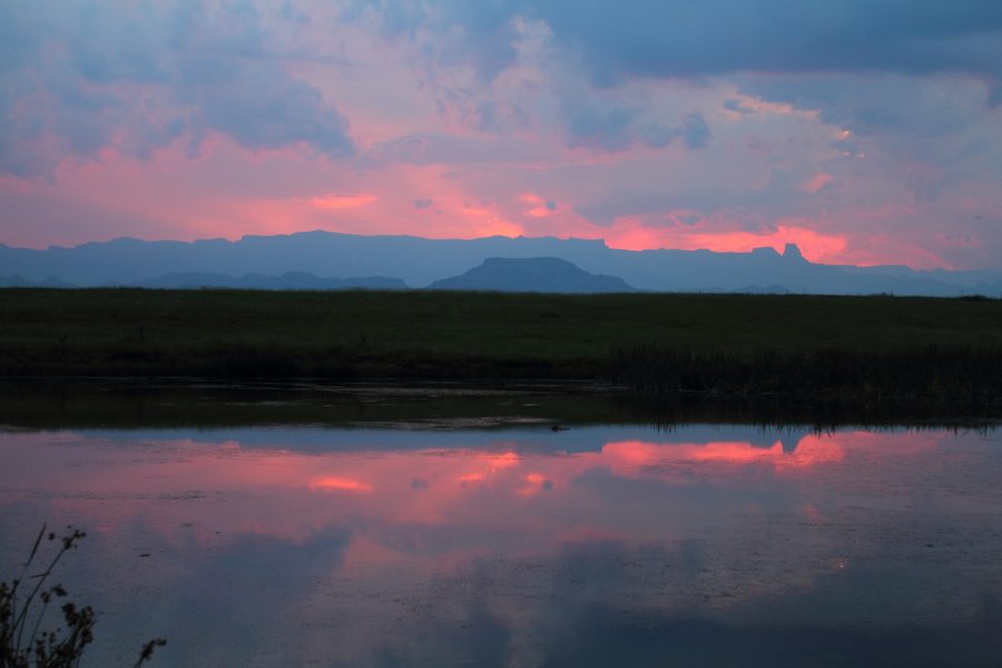 South Africa 5