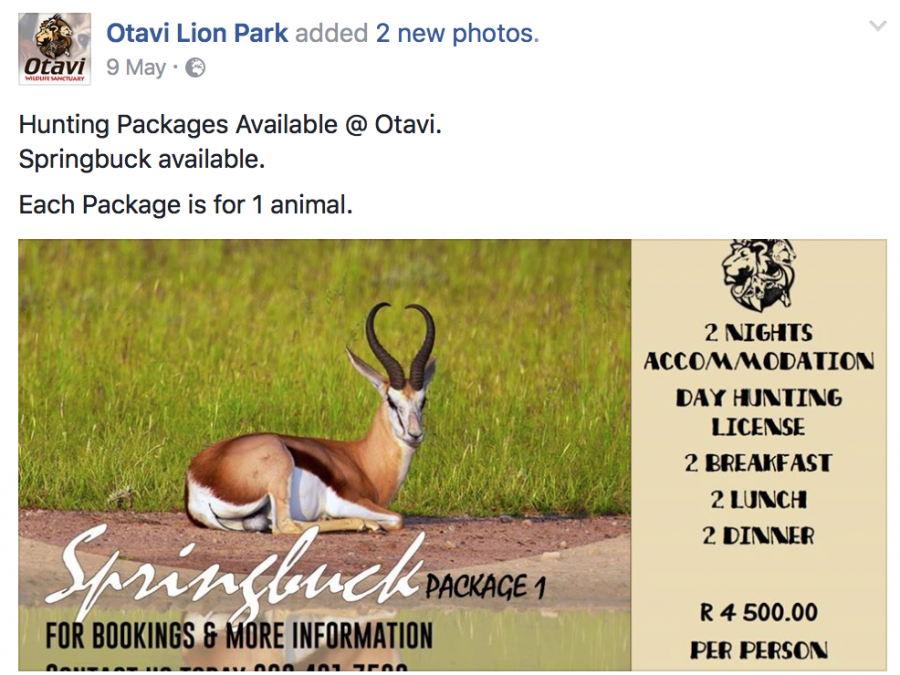 Hunting packages offered by Otavi