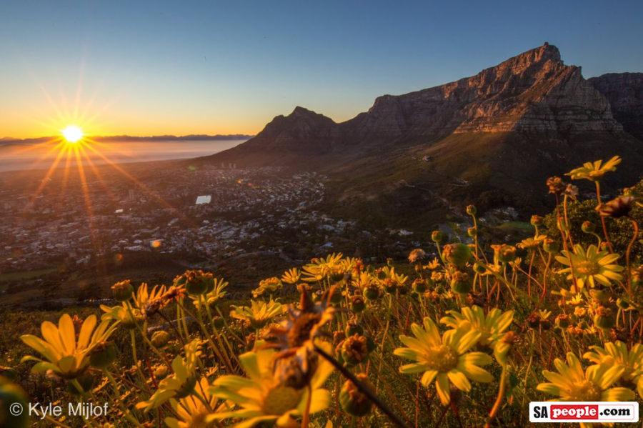 mountain table sunrise winter flowers breathtaking views spring south sapeople africa flowerful fabulously perfect captured earlier lions arrived kyle expected