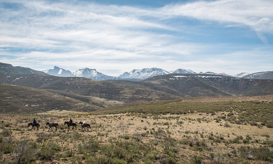 lesotho