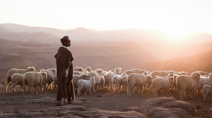 lesotho