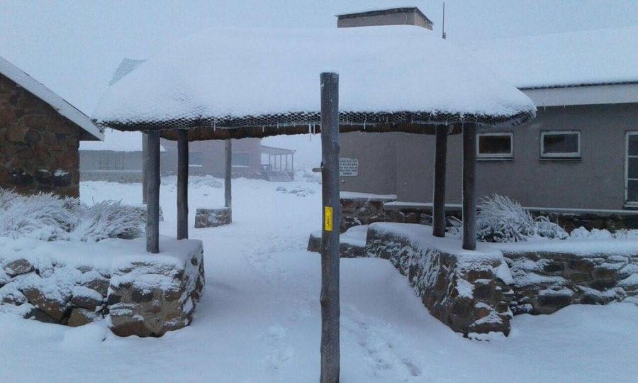 sani-pass