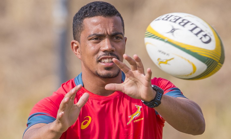 new-springbok-halfback-pair-to-face-wallabies