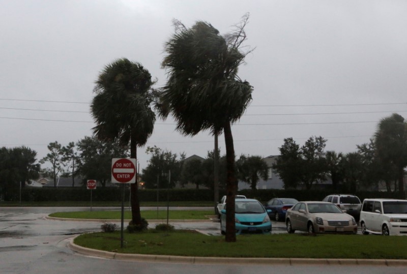 Palm trees buckle under rain and winds as Hurricane Matthew hits, in Melbourne, Florida, U.S. October 7, 2016. REUTERS/Henry Romero