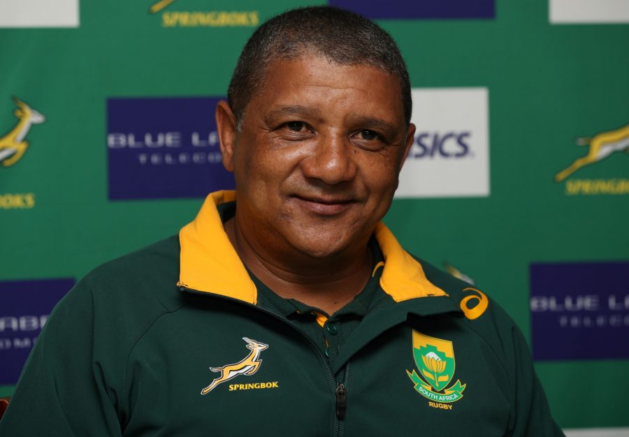 Springbok coach Allister Coetzee