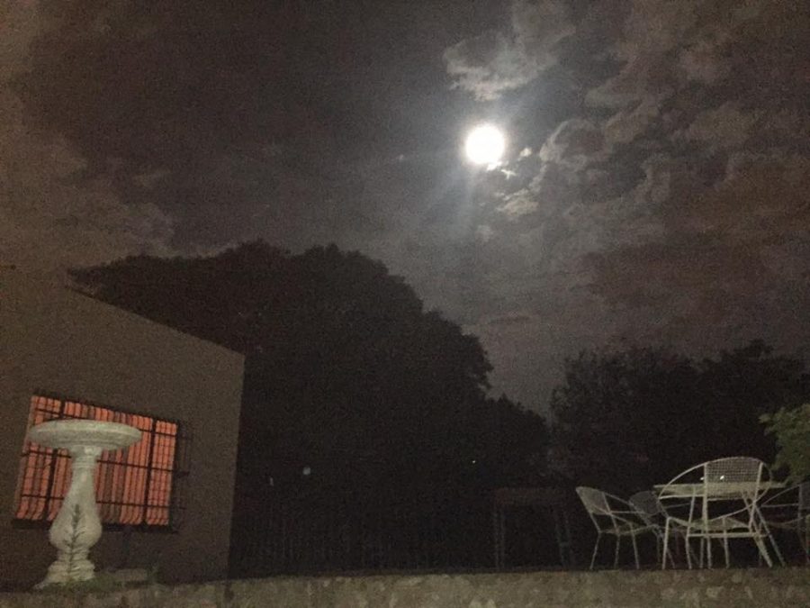 By Shirley Mpisi - "I just took this picture outside. Bez Valley, Joburg."