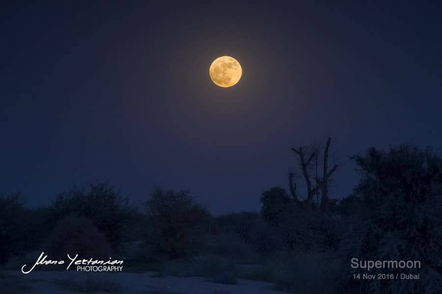 supermoon-dubai
