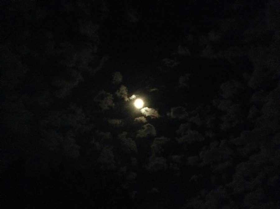 Photo by Trish Williams, Joburg - "So cloudy this is the best I could do."