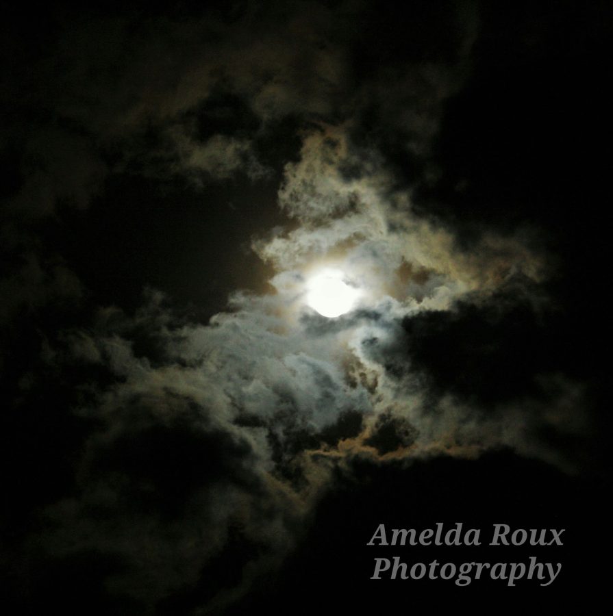 supermoon-kempton-park2