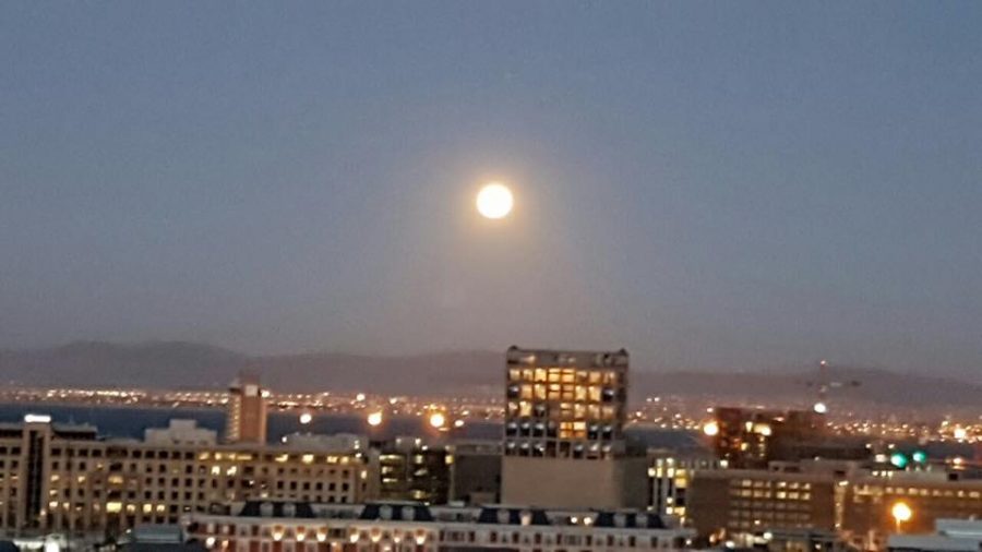 By Andries Graaff, Green Point, Cape Town