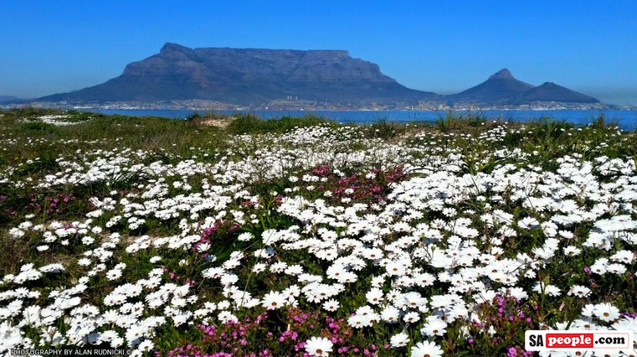 Table Mountain Celebrates 5th Anniversary as Official Natural Wonder of