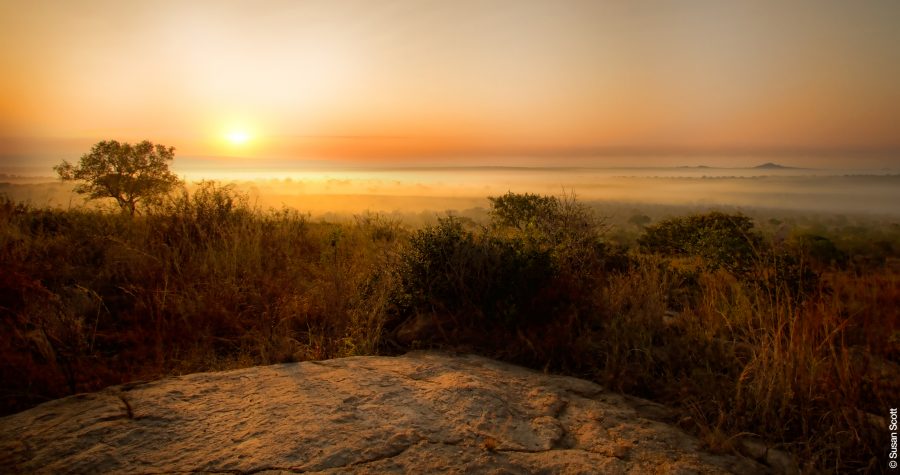 Mathekenyane -- Sunrise over the Kruger National Park © Susan Scott