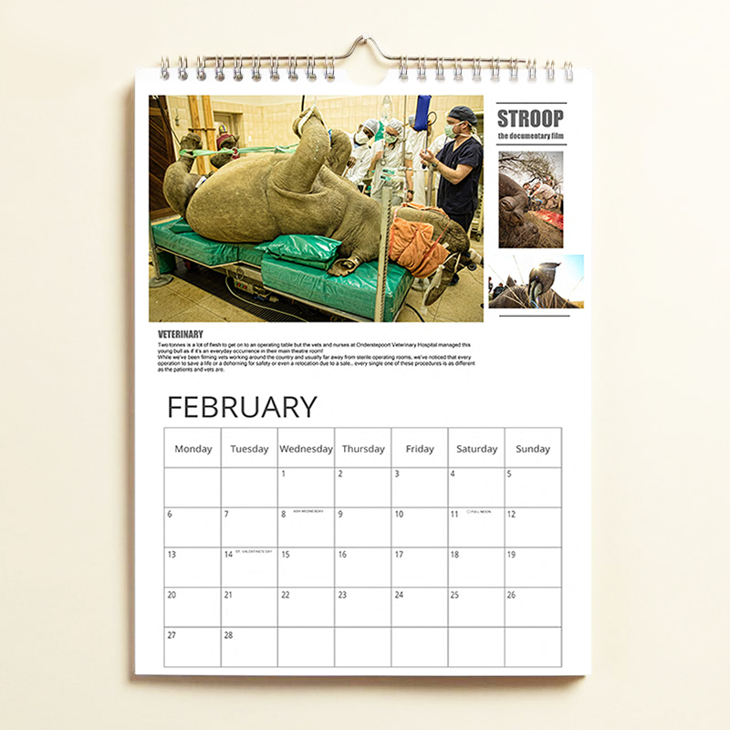 stroop-calendar-feb-image