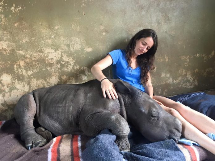 Jamie Traynor with orphaned rhino