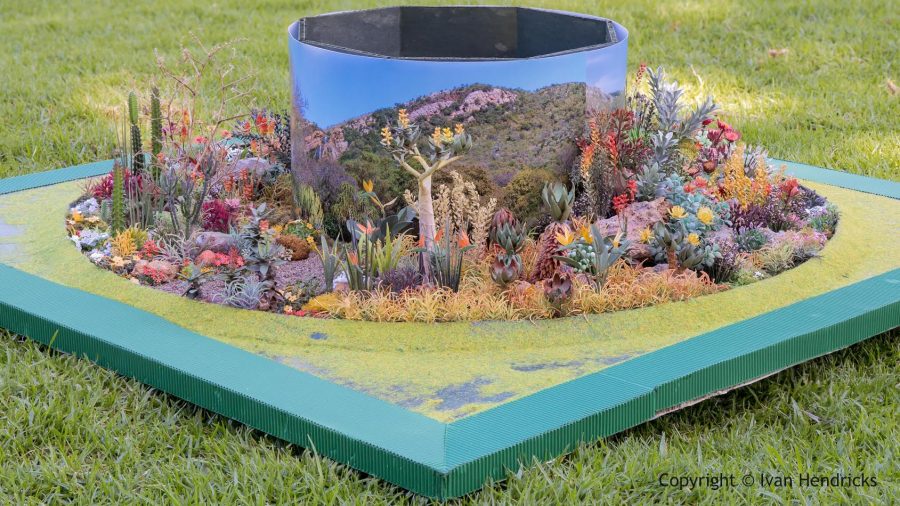 chelsea flower show 