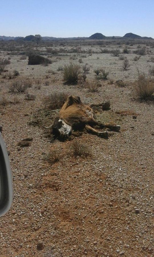 drought