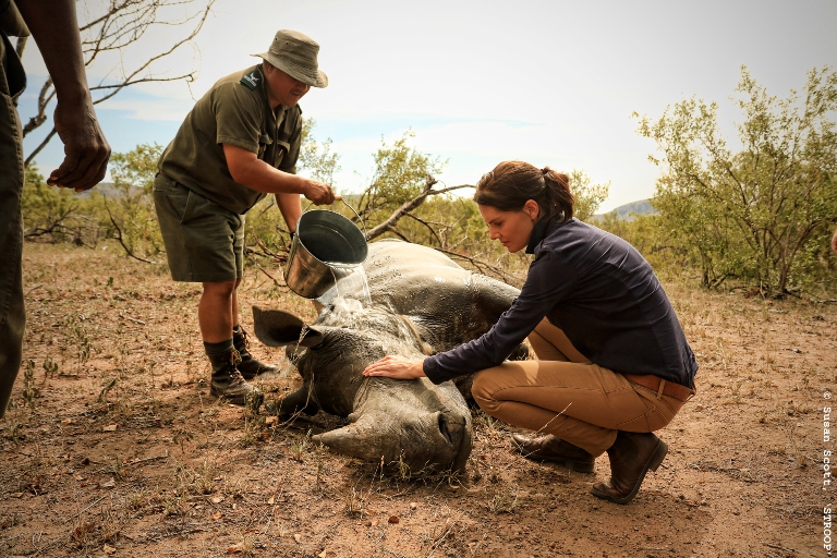 rhino south africa