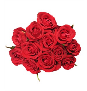 Valentine's Day Flowers - Roses