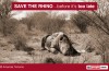 Save the rhino in South Africa