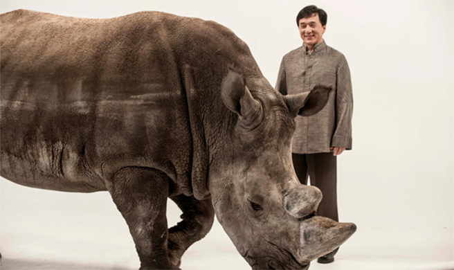 Jackie Chan and Spike the Rhino Jackie Chan and Spike the Rhino