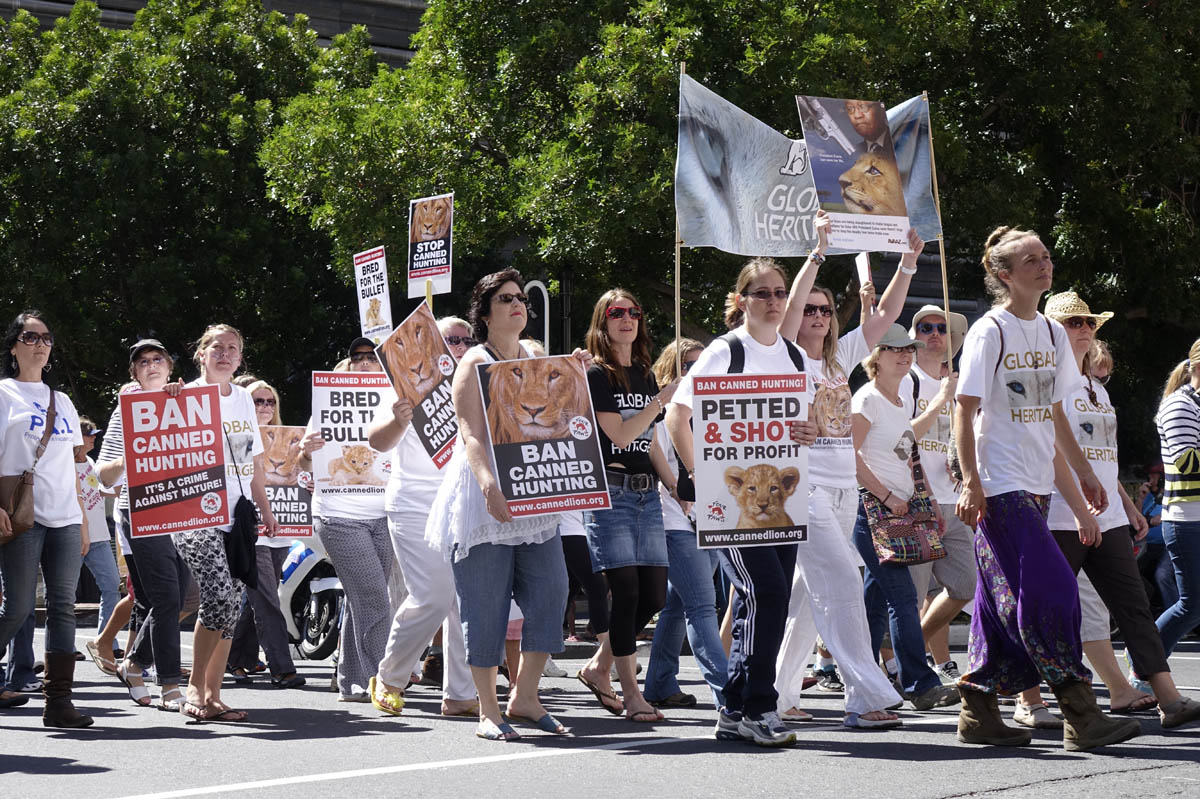 Global March for Lions in Cape Town
