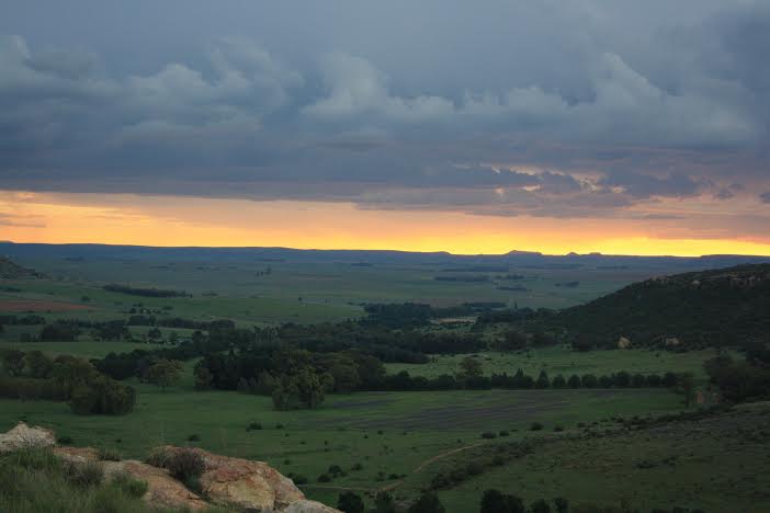 Farm in South Africa