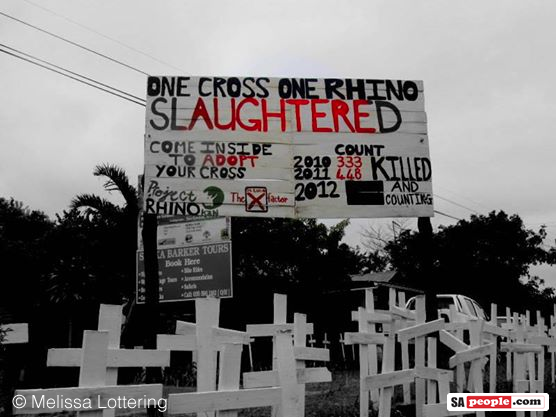 Rhino poaching crisis