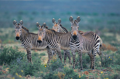 National Parks South Africa