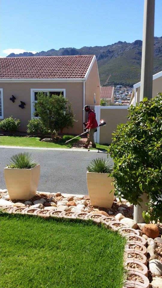 Andries in Gordon's Bay