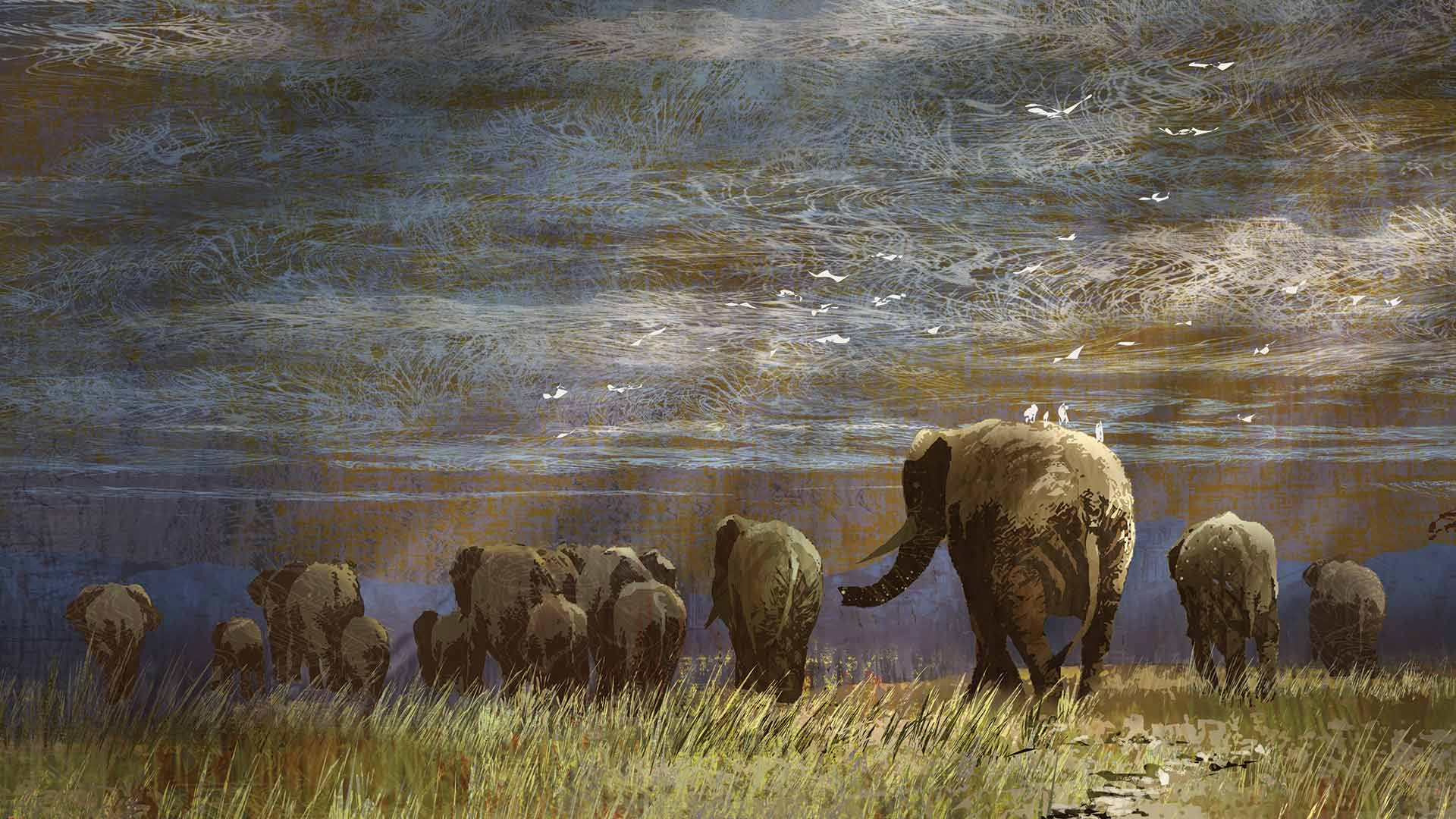 End Ivory funded terrorism