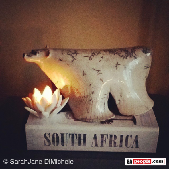 stop-xeno-candle-canada