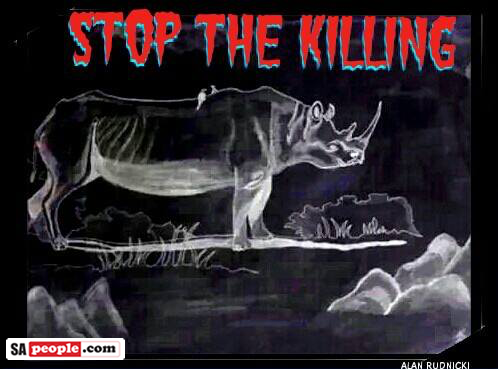 Rhino Poaching Stats South Africa