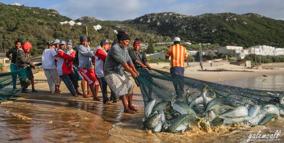 cape fishing safaris