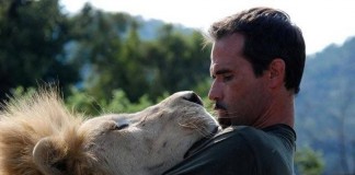 kevinrichardson-lion