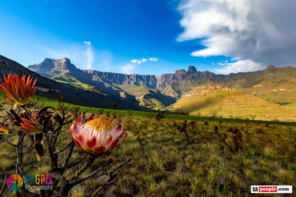 drakensburg