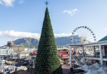 Cape Town Christmas