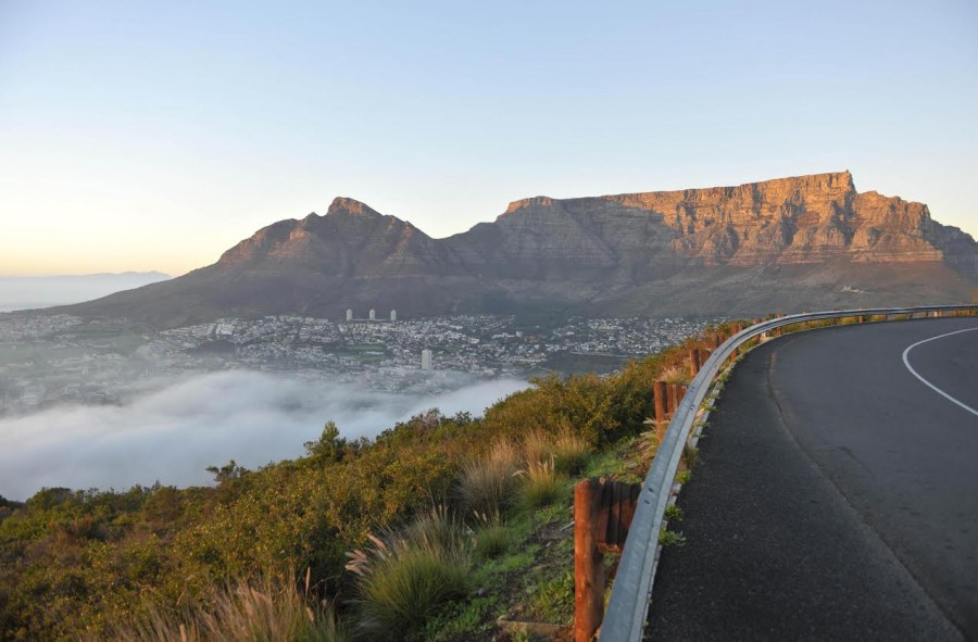 Everything You Ever Wanted to Know About Table Mountain SAPeople