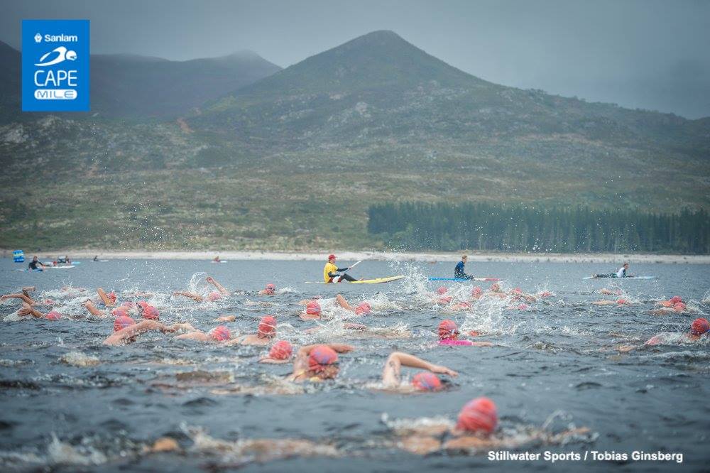 cape mile swim