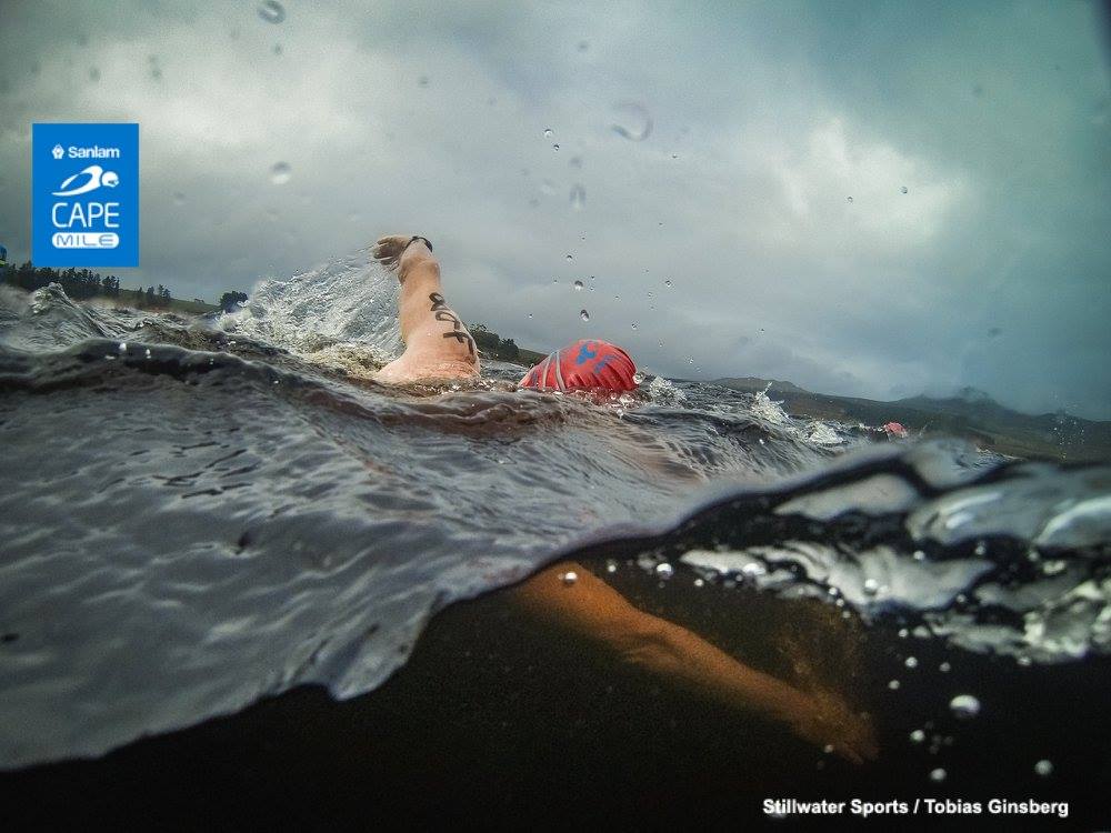 cape mile swim