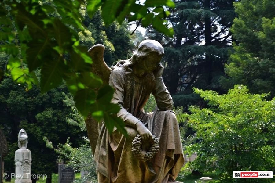 Braamfontein Cemetery Photos