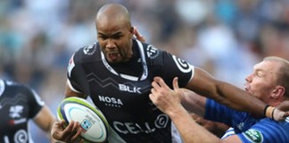 Sharks rugby