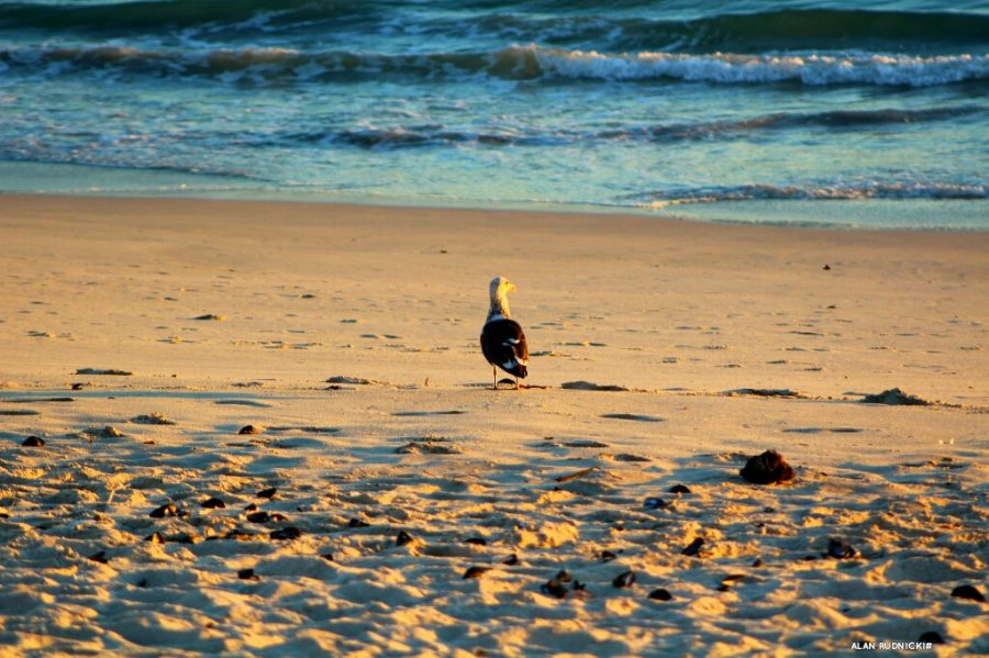 Cape Town, South Africa