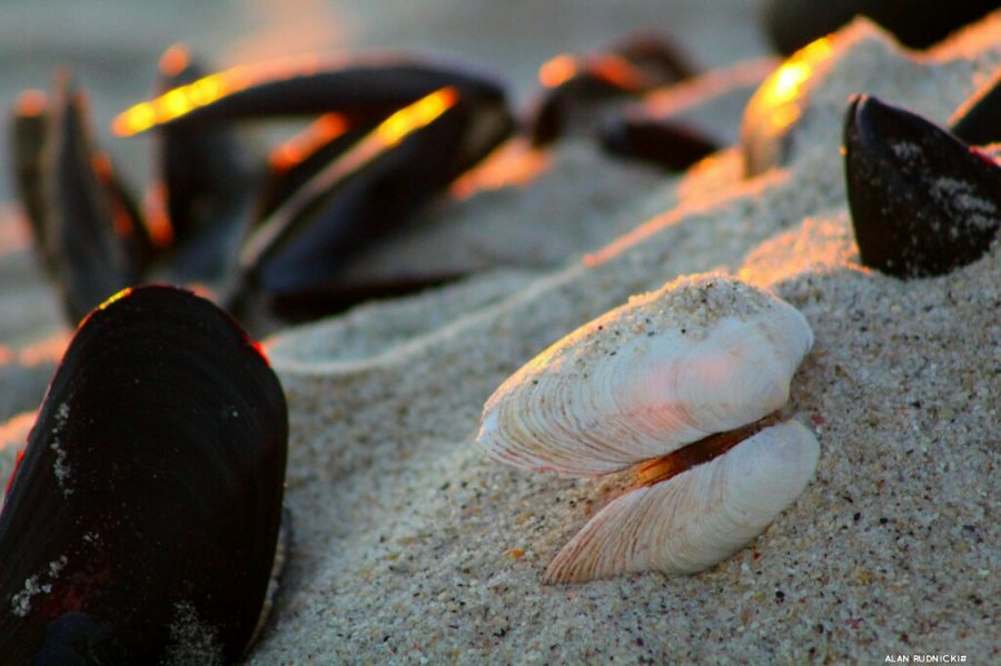 Cape Town, South Africa