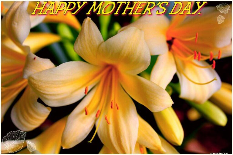 Happy Mother's Day from Google, Facebook, Rio, Africa and the World