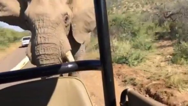 Arnold Schwarzenegger