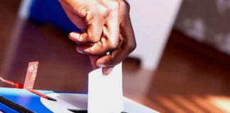 iec elections voting