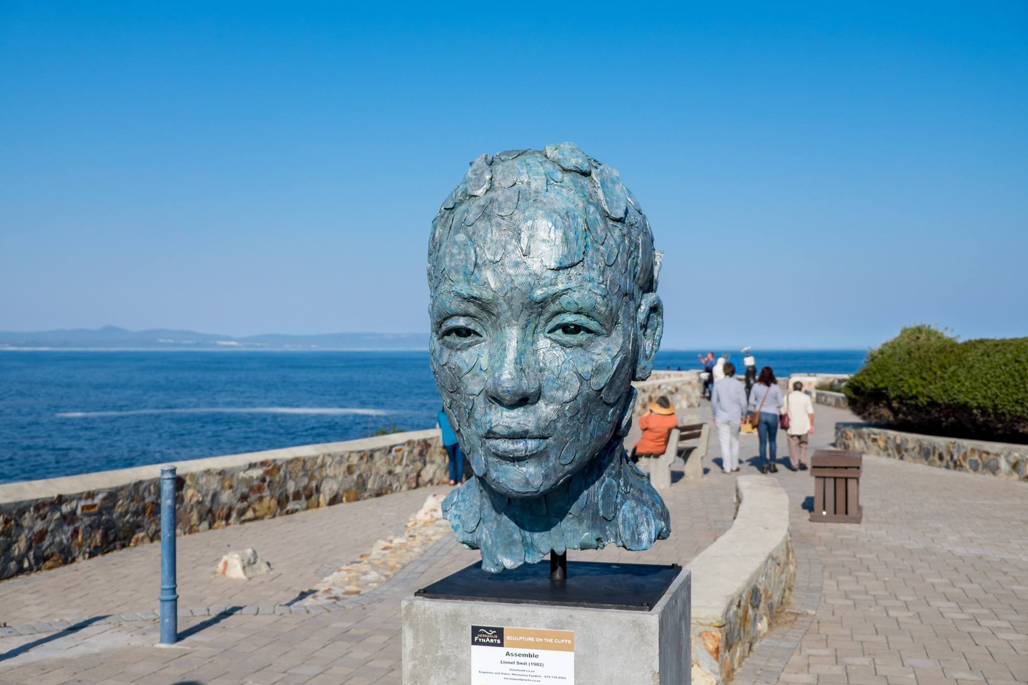 Sculpture on the Cliffs Hermanus