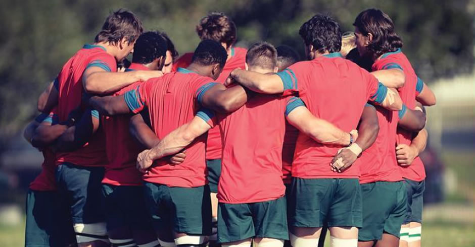 Springboks training