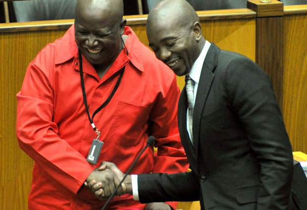 malema and maimane