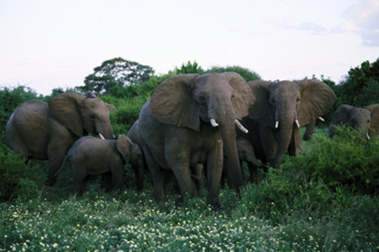 kruger-national-park